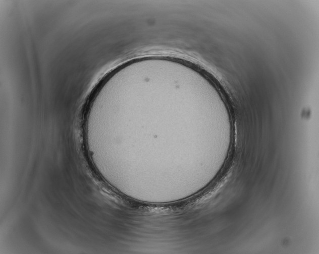 X0000099381501200806051109