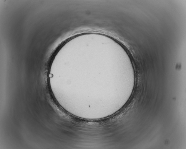 X0000099381503200806051109