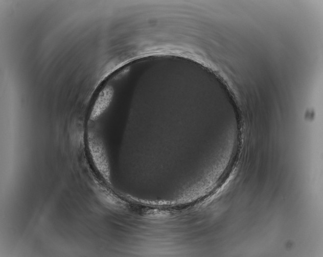 X0000099381505200806051109