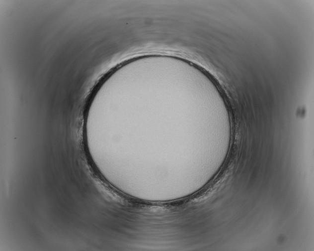 X0000099381507200806051109