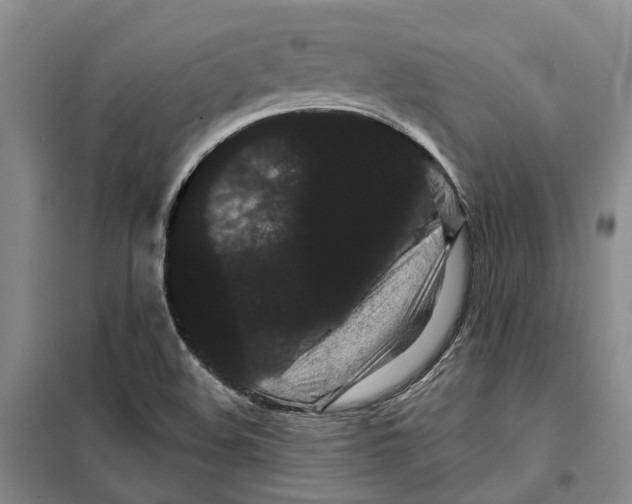 X0000099381508200806051109