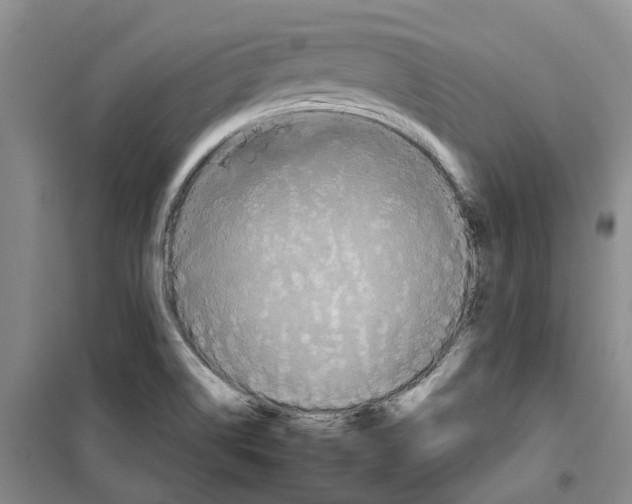 X0000099381514200806051109