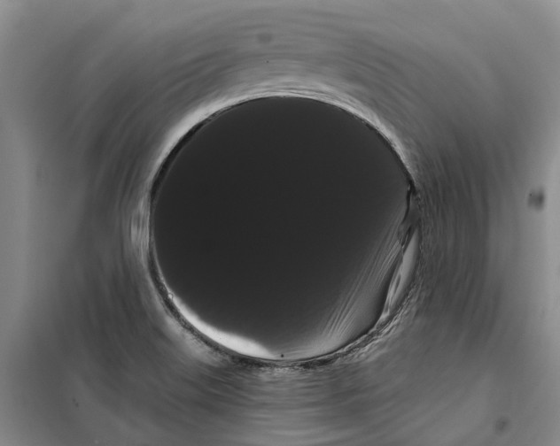 X0000099381515200806051109
