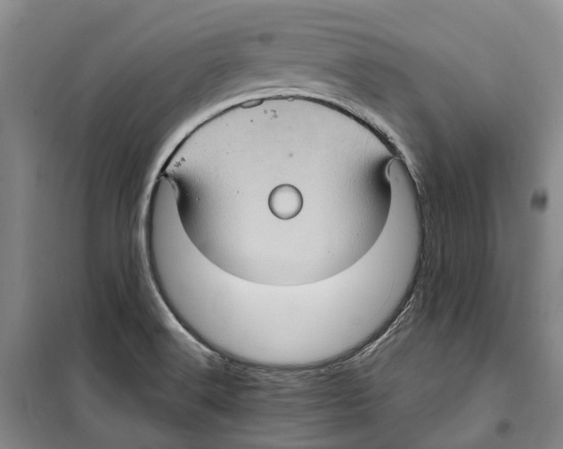 X0000099381516200806051109