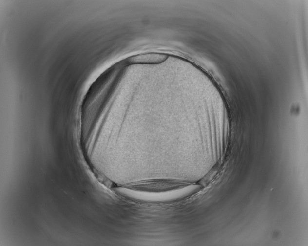 X0000099381520200806051109