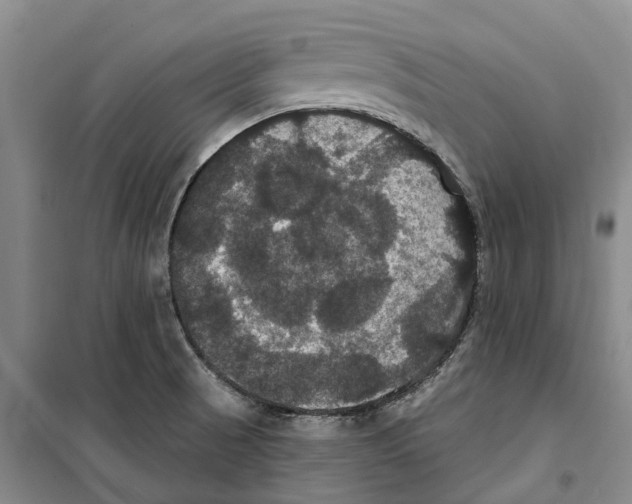 X0000099381521200806051109