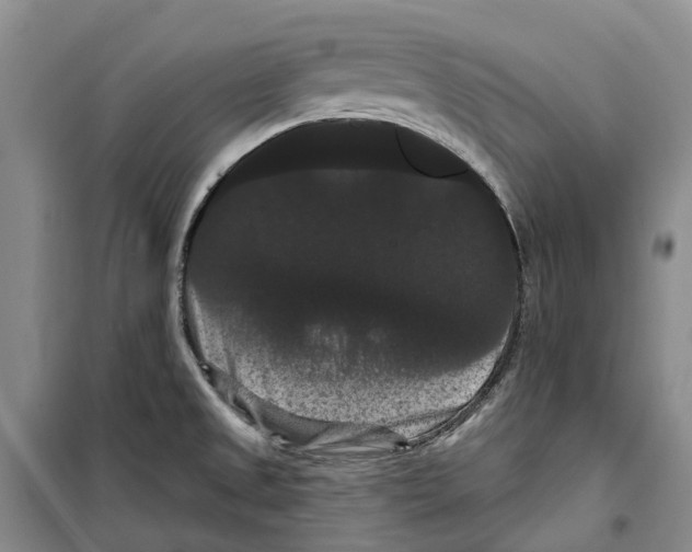 X0000099381525200806051109