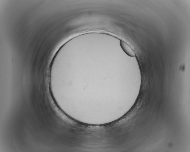 X0000099381526200806051109
