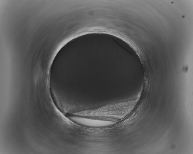X0000099381527200806051109