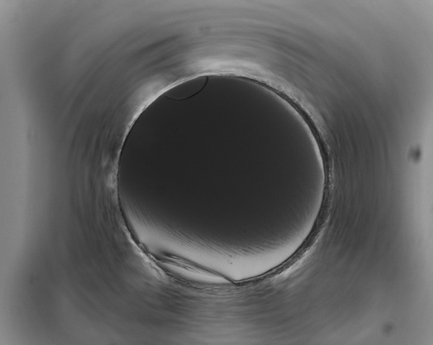 X0000099381529200806051109