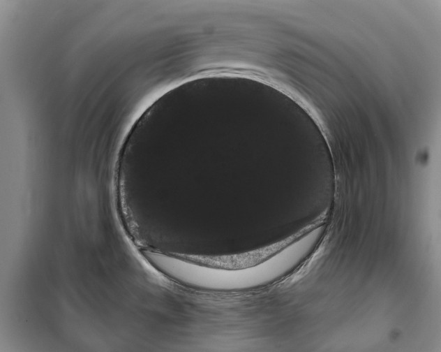 X0000099381533200806051109