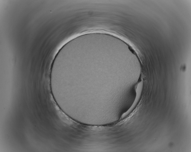 X0000099381534200806051109