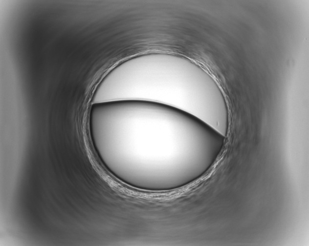 X0000099400001200805081251