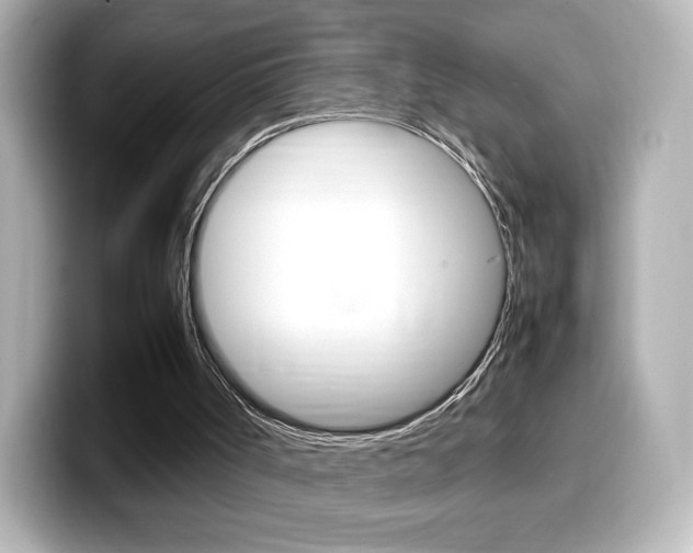 X0000099400002200805081251