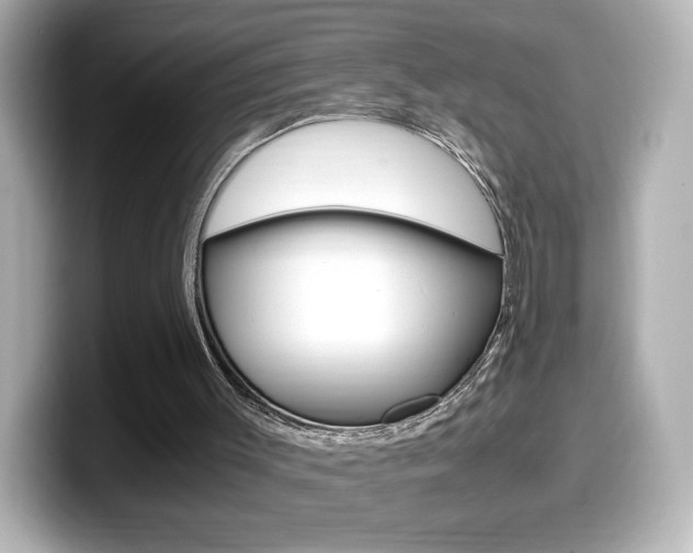 X0000099400003200805081251