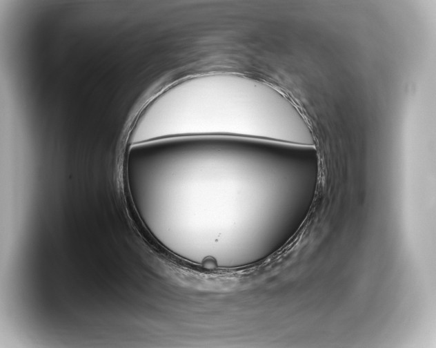 X0000099400004200805081251