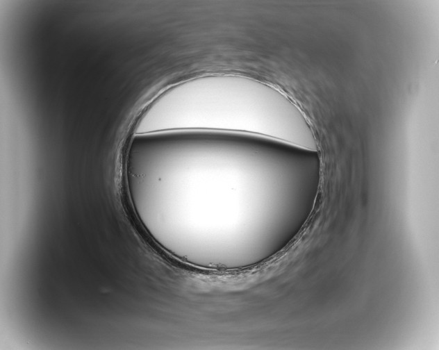 X0000099400005200805081251