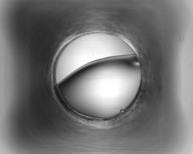X0000099400008200805081251