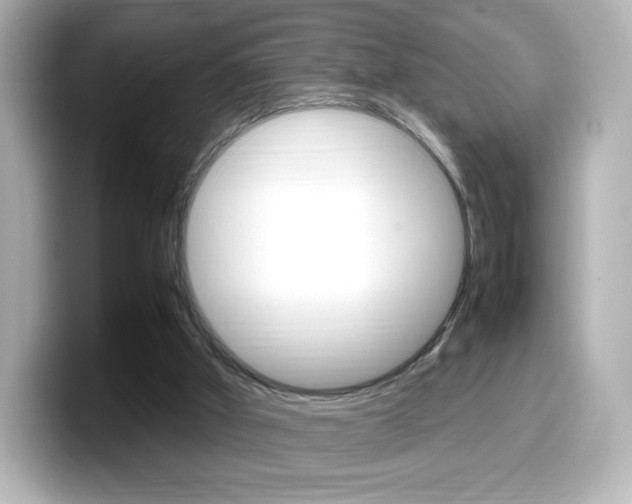 X0000099400010200805081251