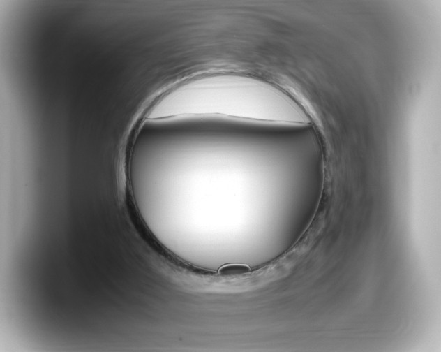 X0000099400011200805081251