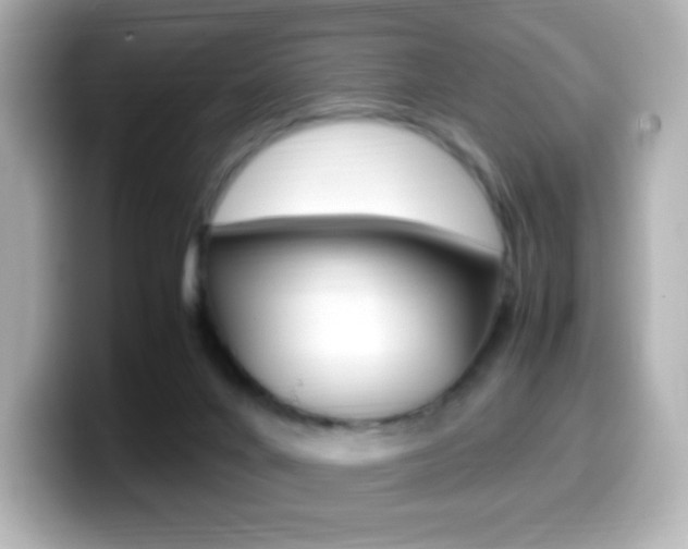 X0000099400024200805081250