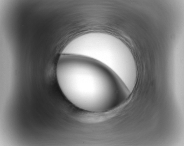 X0000099400029200805081250
