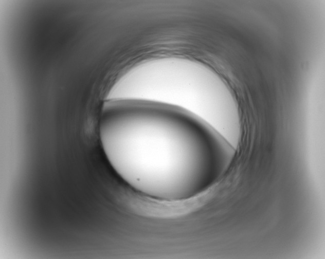 X0000099400031200805081250