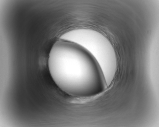 X0000099400033200805081250