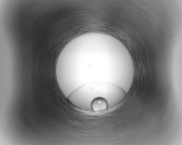 X0000099400034200805081250