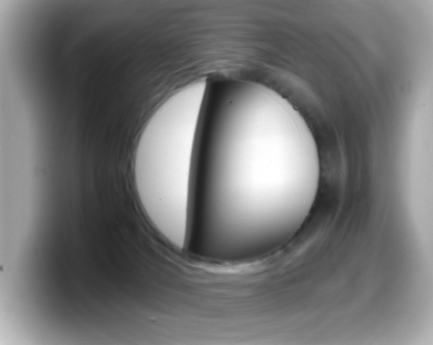 X0000099400036200805081250