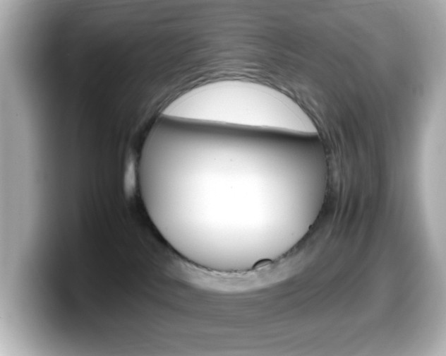 X0000099400042200805081250