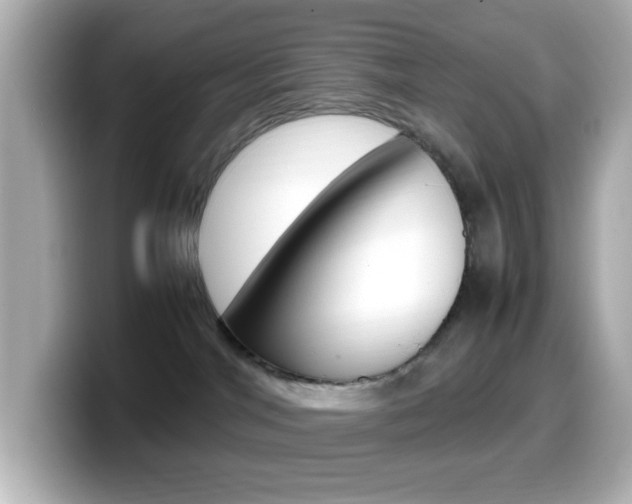 X0000099400044200805081250