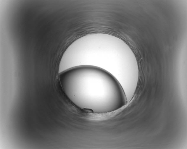 X0000099400045200805081250
