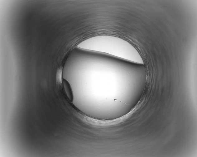 X0000099400047200805081250