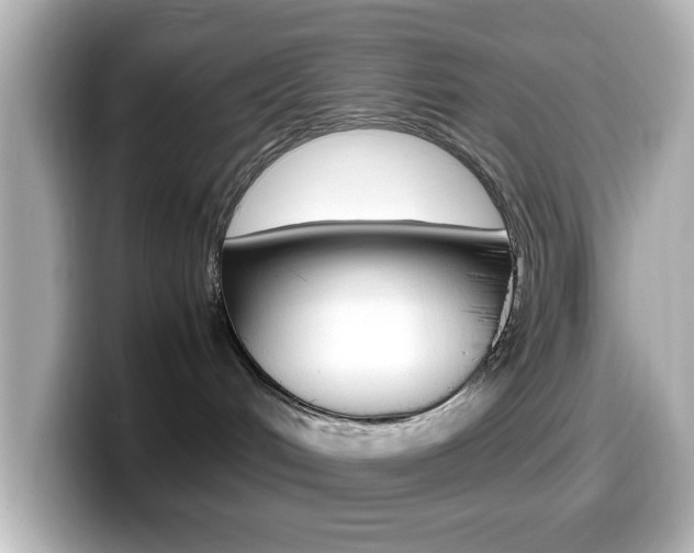 X0000099400048200805081250