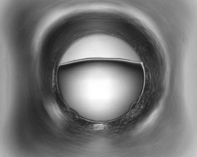 X0000099400050200805081249
