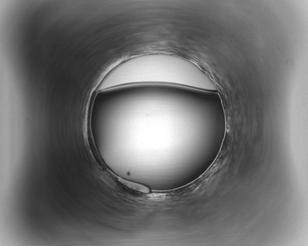 X0000099400052200805081250