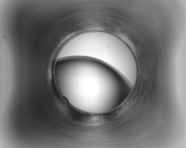 X0000099400060200805081250