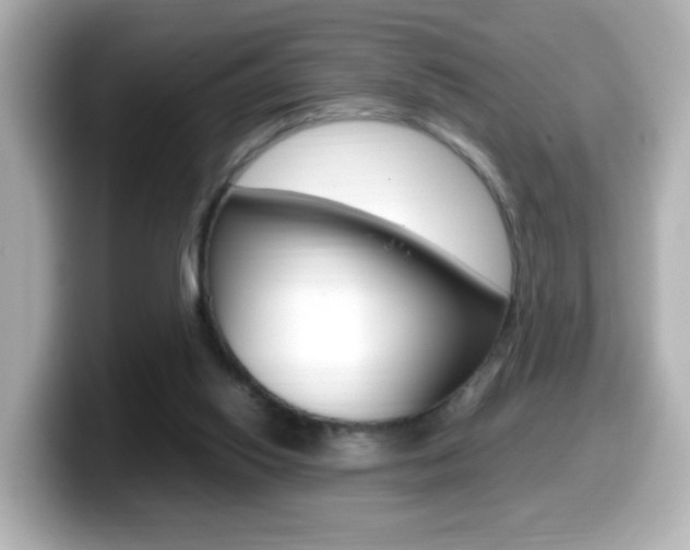 X0000099400062200805081250