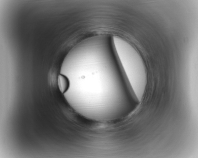 X0000099400074200805081250