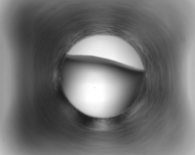 X0000099400079200805081250