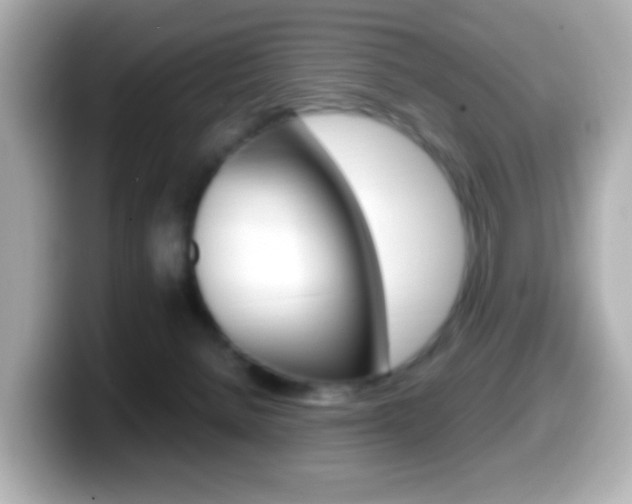 X0000099400080200805081250