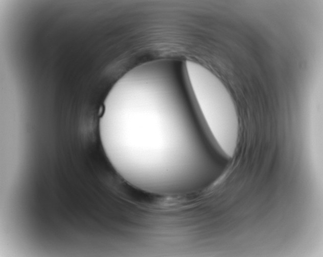X0000099400082200805081250