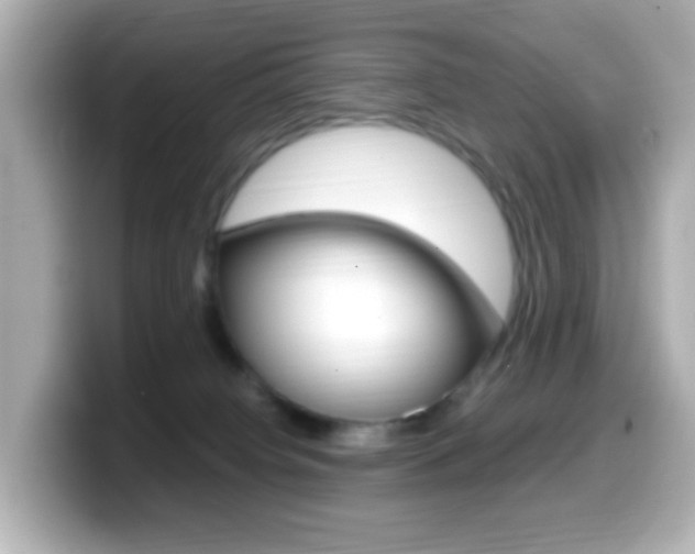 X0000099400084200805081250