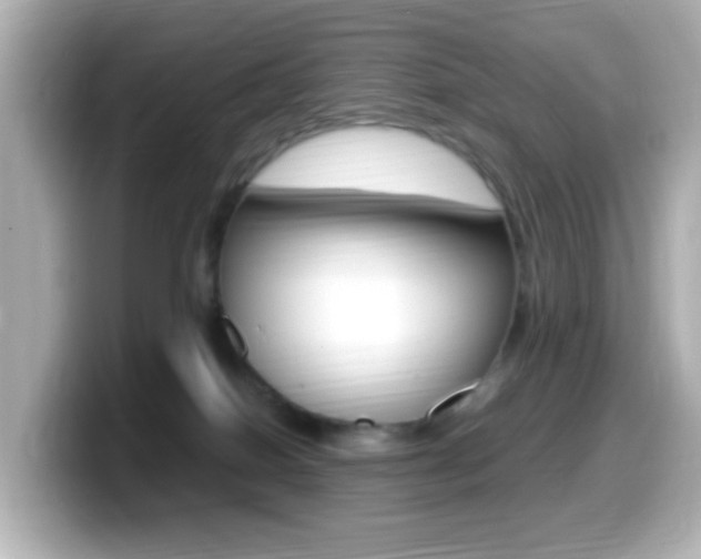 X0000099400086200805081250