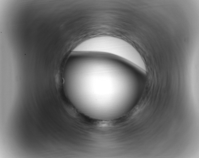 X0000099400088200805081250