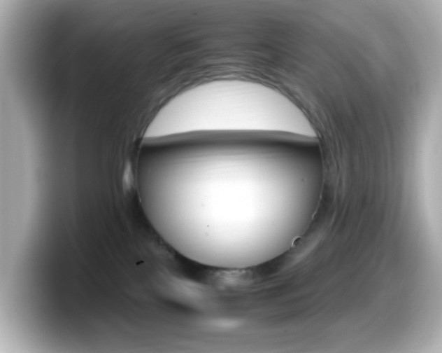 X0000099400089200805081250