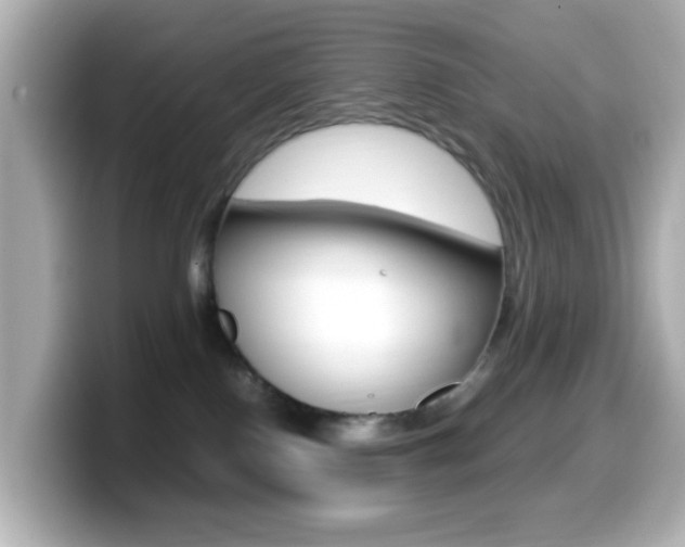 X0000099400090200805081250
