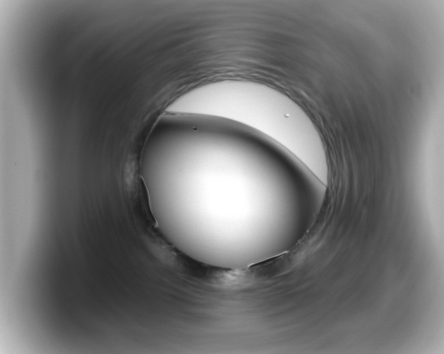 X0000099400092200805081250