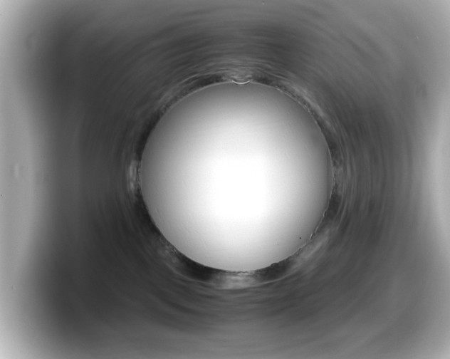 X0000099400093200805081250